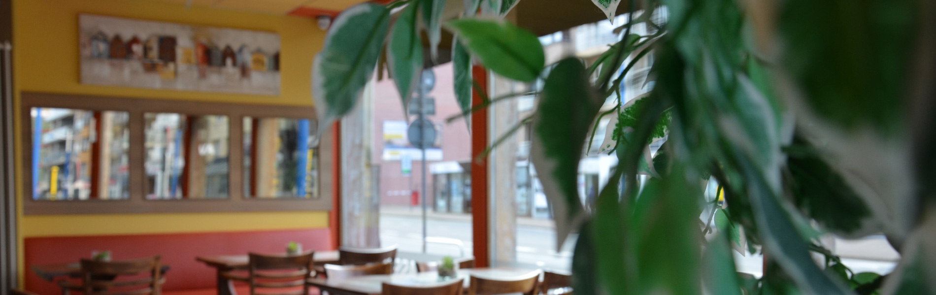 Bekijk onze pasta bereidingen